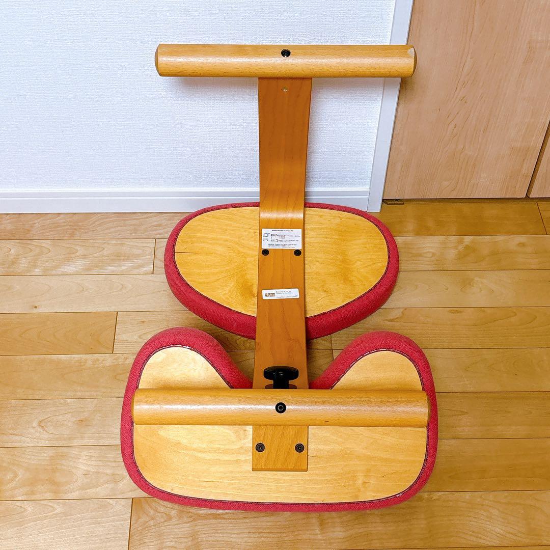 Rybo リボ Balans EASY バランスイージー バランスチェア ピンク