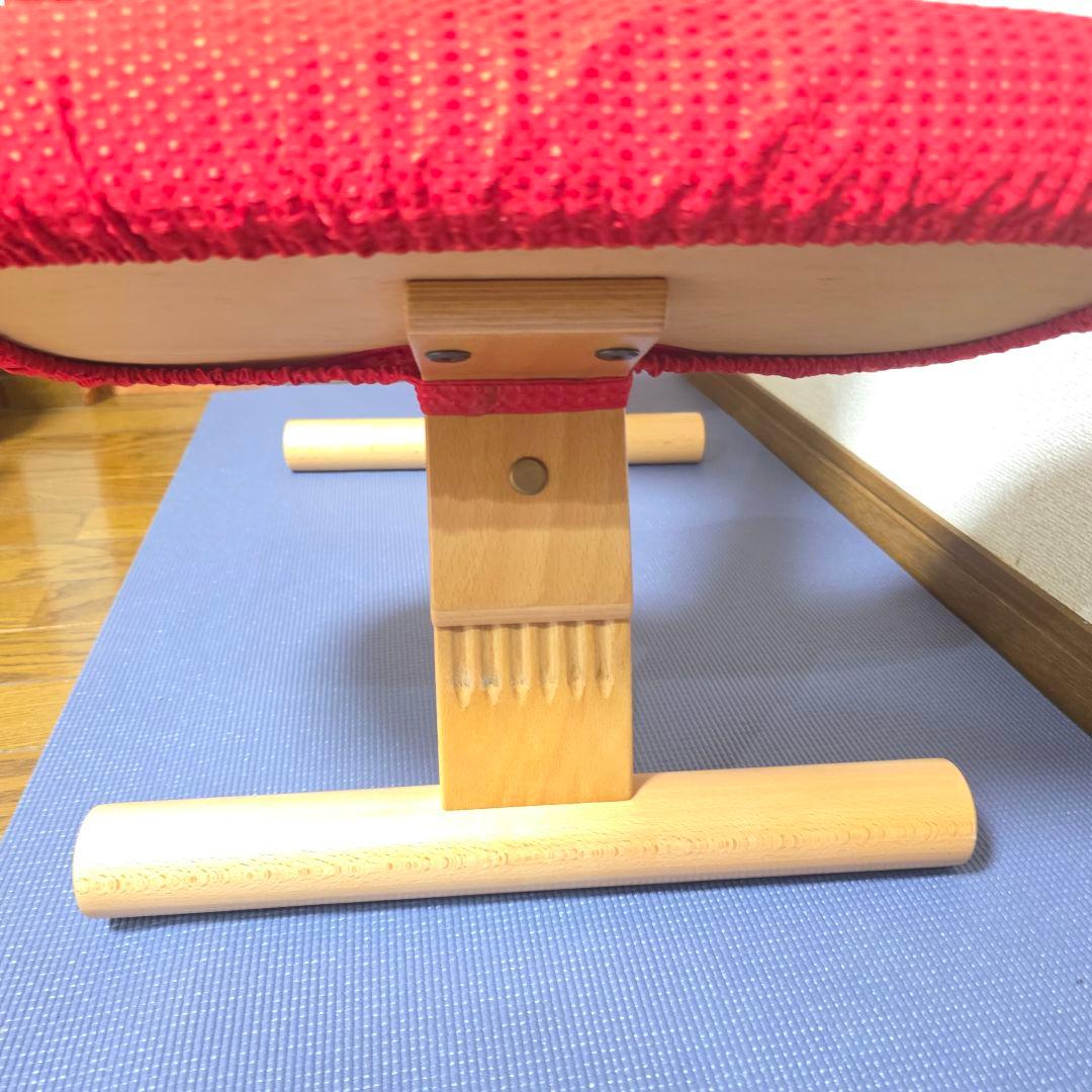 270】Rybo リボ社 Balans Easy バランスイージー カバー付