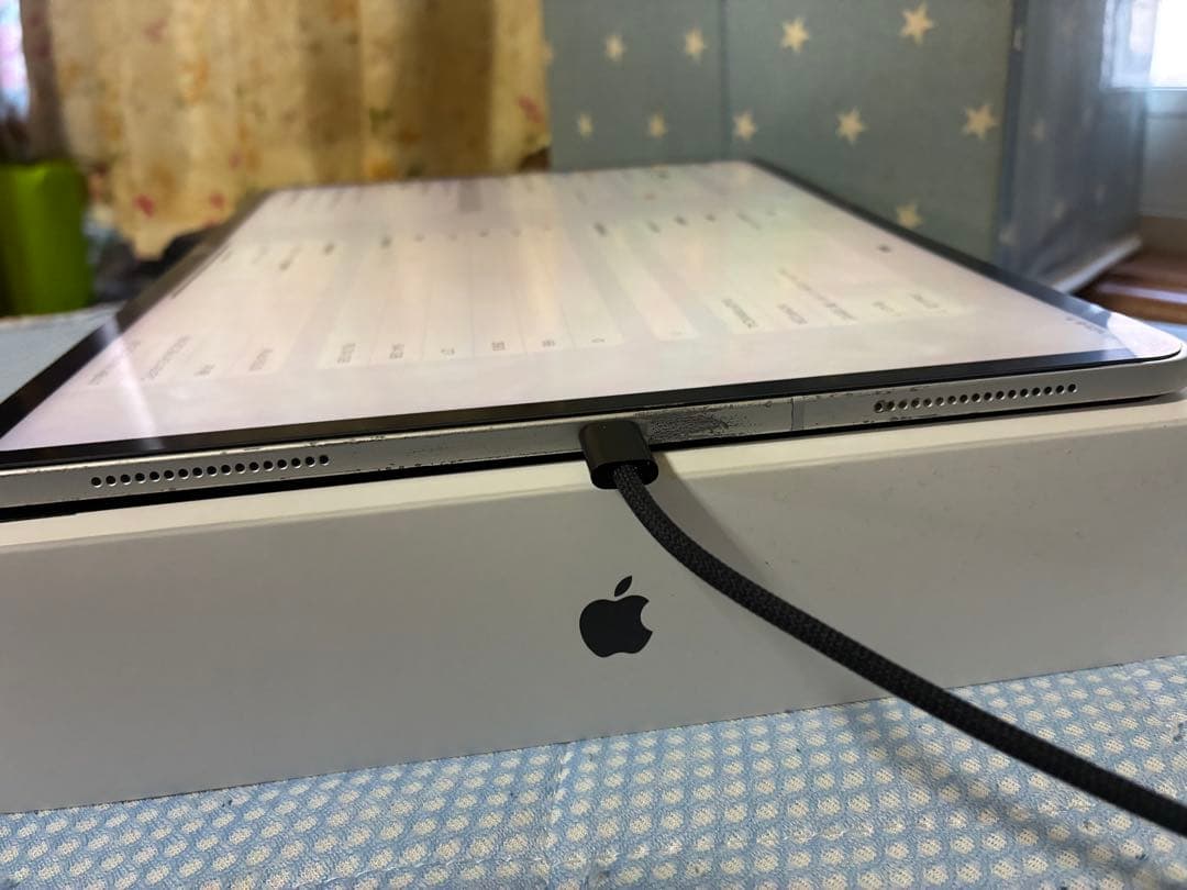 【最終値下げ】iPadPro 12.9(第三世代)64GB WiFiモデル