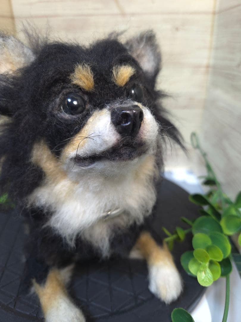 羊毛フェルト 愛犬オーダー 全身オーダー ☆ゆか様オーダー☆