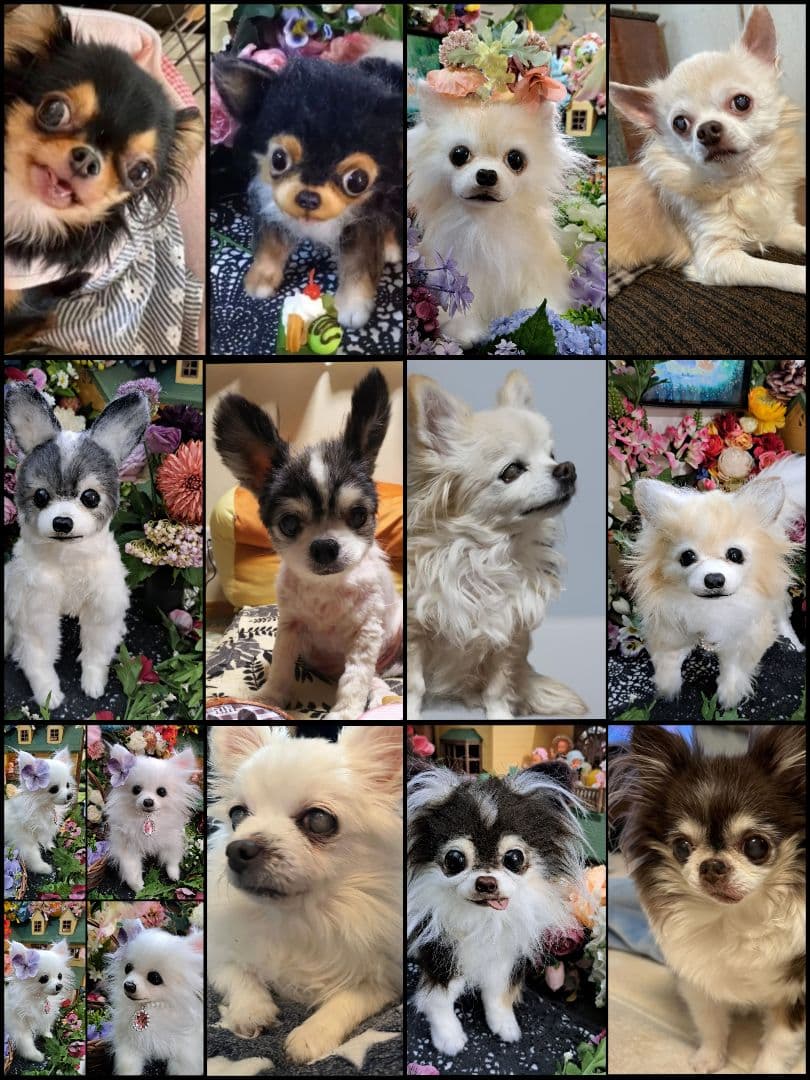 うちの子オーダー受付中♥️ チワワ　リアル　実物大　ぬいぐるみ　カズコオガワ